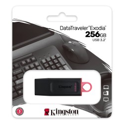Memoria USB Kingston Exodia 256GB Negra
